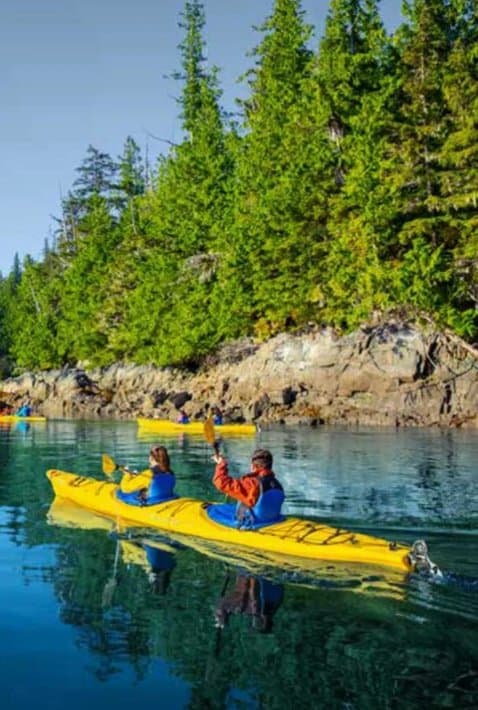 Kayakers paddling along a forested Alaska shoreline